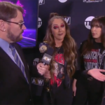 411mania.com